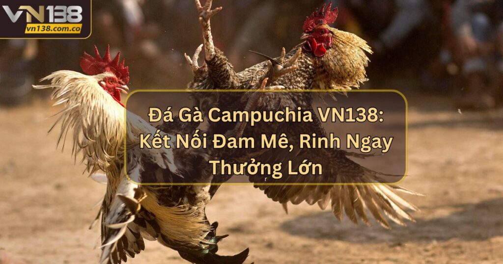 Đá Gà Campuchia VN138: Kết Nối Đam Mê, Rinh Ngay Thưởng Lớn