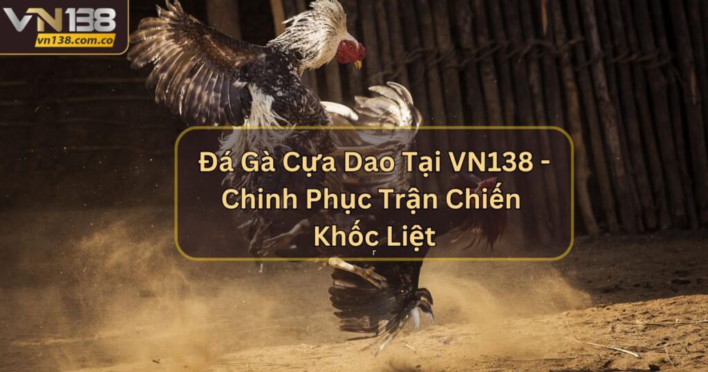 Đá Gà Cựa Dao Tại VN138 - Chinh Phục Trận Chiến Khốc Liệt