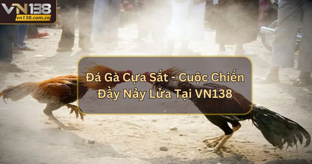 Đá Gà Cựa Sắt - Cuộc Chiến Đầy Nảy Lửa Tại VN138