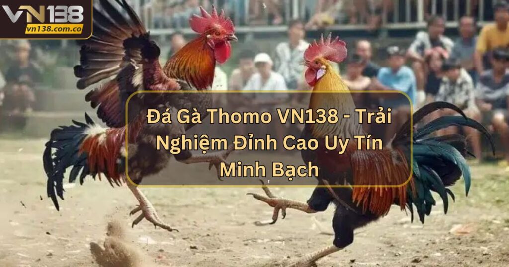 Đá Gà Thomo VN138 - Trải Nghiệm Đỉnh Cao Uy Tín Minh Bạch