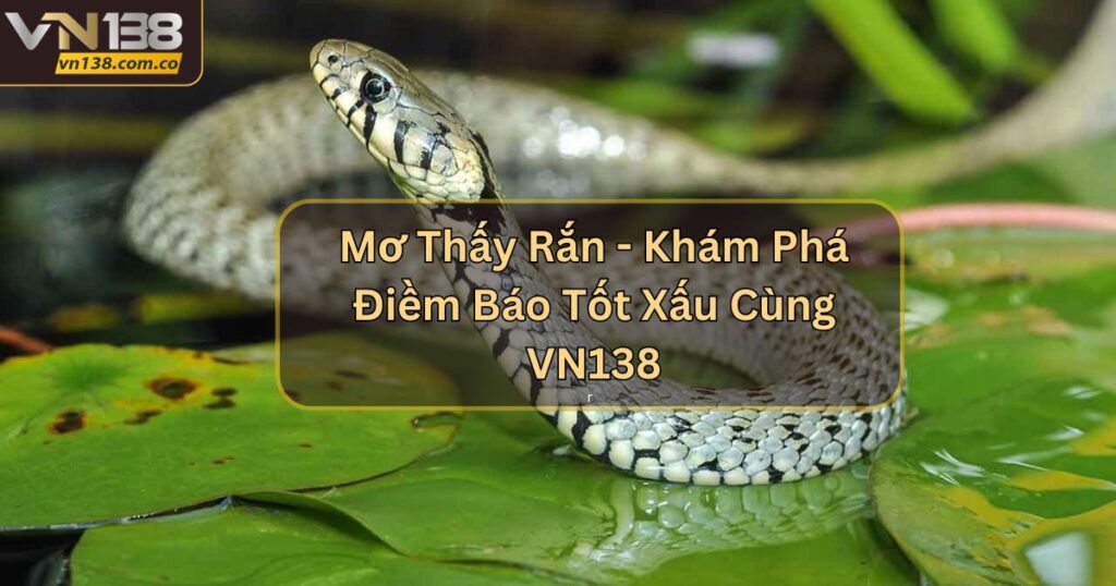 Mơ Thấy Rắn - Khám Phá Điềm Báo Tốt Xấu Cùng VN138